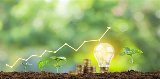 Measuring the ROI of Sustainability Investments